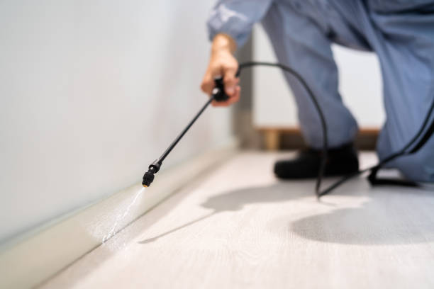 Bed Bug Pre-Treatment Preparation Assessment in West Liberty