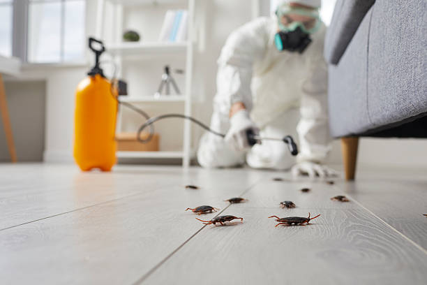 Post-Treatment Bed Bug Interceptor Monitoring in West Liberty