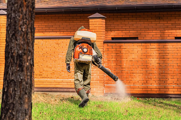 Bed Bug Clearance Verification and Documentation in West Liberty